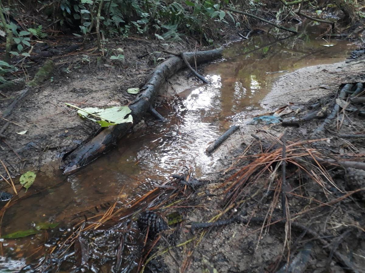 Chácara Chiafarelli São Roque Exterior foto